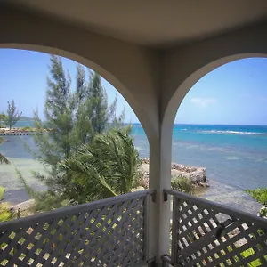 Sahara Jamaica