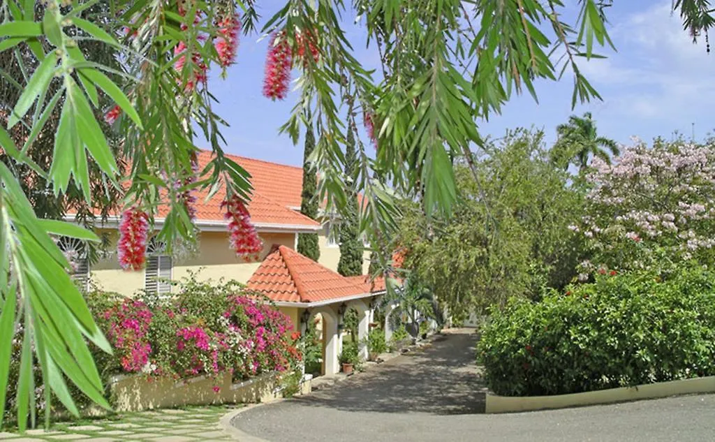 Polkerris Bed & Breakfast Montego Bay
